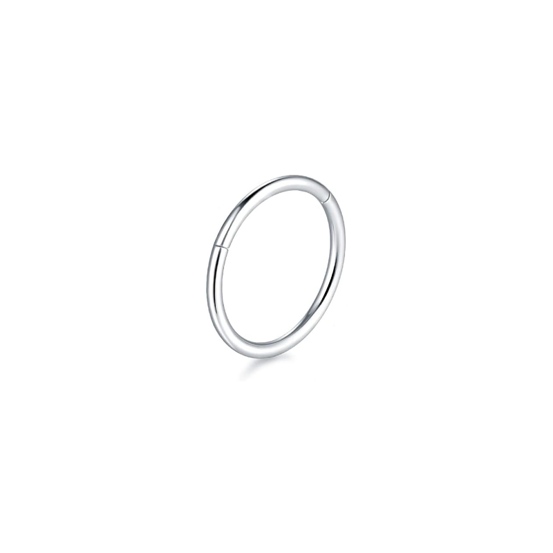 316L stainless steel hinged segment ring on white background