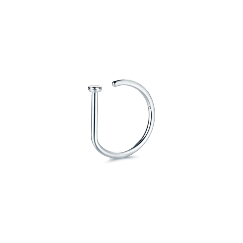 Stainless Steel Plain D-Shaped Nose Ring Stainless Steel Plain D-Shaped Nose Ring on white background