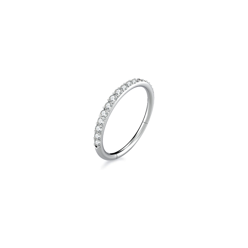 CZ pave hinged segment nose ring in titanium steel on white background